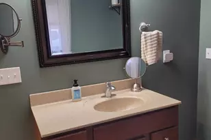 19650 N Pisque Ln, Chicago, IL 62898 - Photo 25