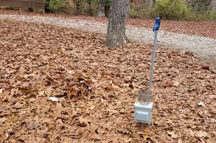 19650 N Pisque Ln, Chicago, IL 62898 - Photo 33