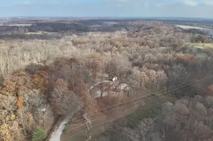 19650 N Pisque Ln, Chicago, IL 62898 - Photo 11