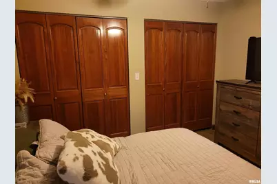 19650 N Pisque Lane, Chicago, IL 62898 - Photo 27