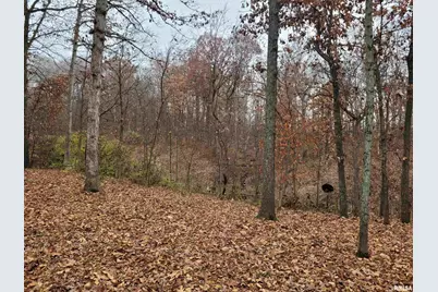 19650 N Pisque Lane, Chicago, IL 62898 - Photo 15