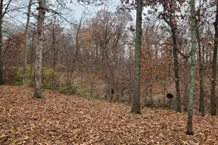 19650 N Pisque Ln, Chicago, IL 62898 - Photo 15