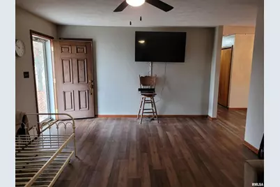 469 E Main Street, Radom, IL 62876 - Photo 5