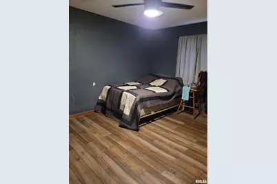 469 E Main Street, Radom, IL 62876 - Photo 13