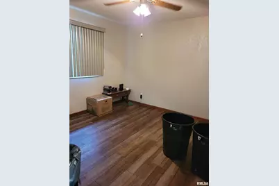 469 E Main Street, Radom, IL 62876 - Photo 17