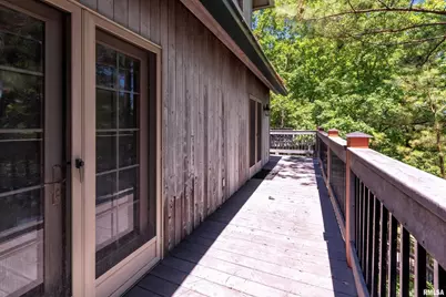 1165 Lake Shore Dr N Drive, Orangeville, IL 62939 - Photo 43