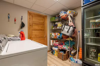 1165 Lake Shore Dr N Drive, Orangeville, IL 62939 - Photo 31