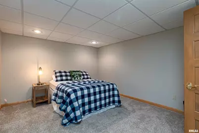 1165 Lake Shore Dr N Drive, Orangeville, IL 62939 - Photo 29