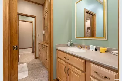 1165 Lake Shore Dr N Drive, Orangeville, IL 62939 - Photo 23