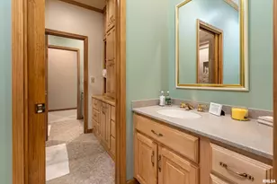 1165 Lake Shore Dr N Dr, Orangeville, IL 62939 - Photo 23