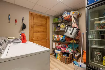 1165 Lake Shore Dr N Drive, Orangeville, IL 62939 - Photo 31