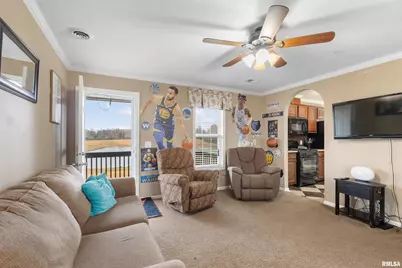 221 E Gore Street, Orangeville, IL 62939 - Photo 21