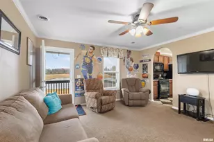 221 E Gore St, Orangeville, IL 62939 - Photo 21