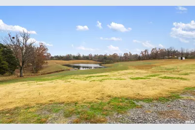 221 E Gore Street, Orangeville, IL 62939 - Photo 17