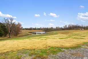 221 E Gore St, Orangeville, IL 62939 - Photo 17