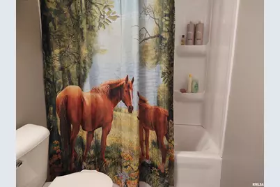 1470 Old Bloomfield Rd Road, Vienna, IL 62995 - Photo 17