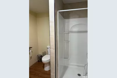 2407 Selmaville Road, Salem, IL 62881 - Photo 13