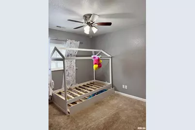 2407 Selmaville Road, Salem, IL 62881 - Photo 11