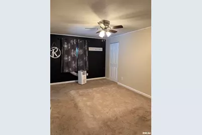 2407 Selmaville Road, Salem, IL 62881 - Photo 15