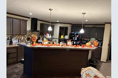 6874 White Walnut Rd Road, Pinckneyville, IL 62274 - Photo 3