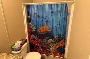 6874 White Walnut Rd Rd, Pinckneyville, IL 62274 - Photo 11