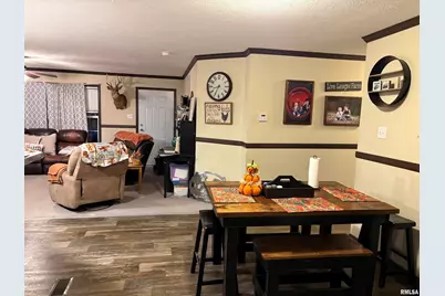 6874 White Walnut Rd Road, Pinckneyville, IL 62274 - Photo 5