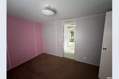 112 N Old Marion Road, Orangeville, IL 62939 - Photo 23