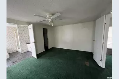 112 N Old Marion Road, Orangeville, IL 62939 - Photo 13