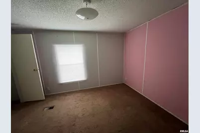 112 N Old Marion Road, Orangeville, IL 62939 - Photo 21