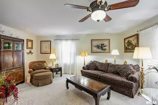 105 Woodlake Ln, Eldorado, IL 62930 - Photo 29