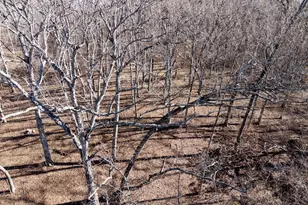 3831 E State Hwy, Rockford, IL 62461 - Photo 65