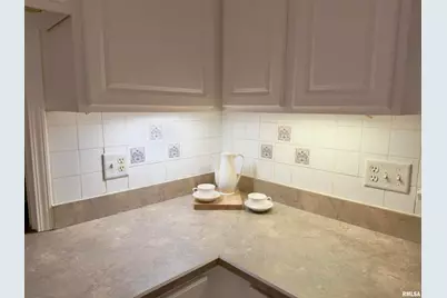 3831 E State Highway, Rockford, IL 62461 - Photo 51