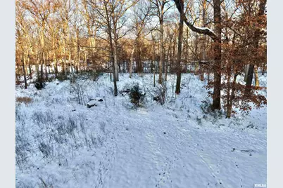 3831 E State Highway, Rockford, IL 62461 - Photo 73