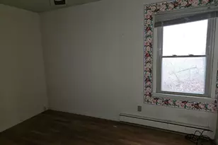 7345 US Hwy 45 S, Carrier Mills, IL 62917 - Photo 23