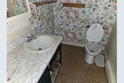 7345 US Hwy 45 S, Carrier Mills, IL 62917 - Photo 25