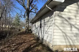 7345 US Hwy 45 S, Carrier Mills, IL 62917 - Photo 7