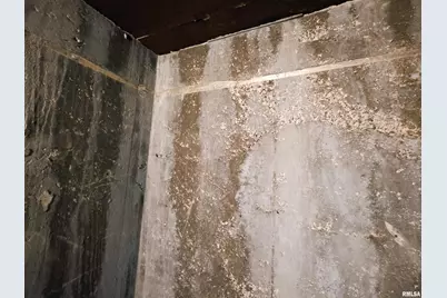 103 Watkins Street, Cisne, IL 62823 - Photo 13