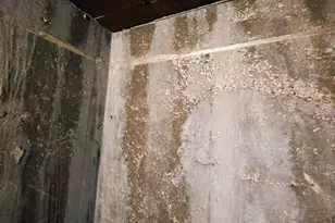 103 Watkins St, Cisne, IL 62823 - Photo 13