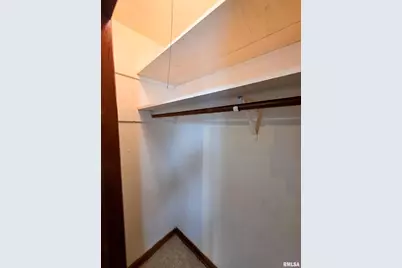 103 Watkins Street, Cisne, IL 62823 - Photo 63