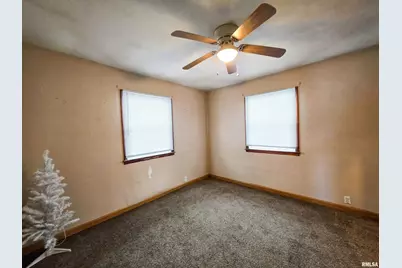 103 Watkins Street, Cisne, IL 62823 - Photo 53