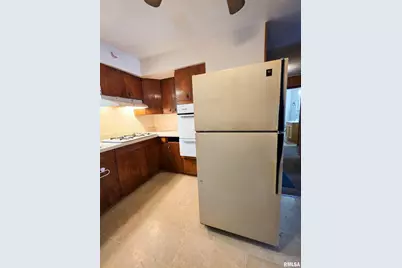 103 Watkins Street, Cisne, IL 62823 - Photo 49