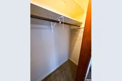 103 Watkins Street, Cisne, IL 62823 - Photo 57