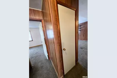 103 Watkins Street, Cisne, IL 62823 - Photo 65