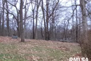 23 Il 34 S, Rosiclare, IL 62982 - Photo 5