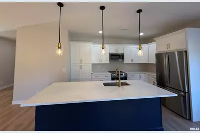 333 S Hanseman Street, Carbondale, IL 62901 - Photo 3