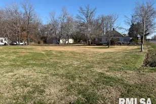 1112 McHaney Rd, Harrisburg, IL 62946 - Photo 27