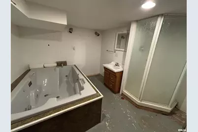 3638 84, Thomson, IL 61285 - Photo 31