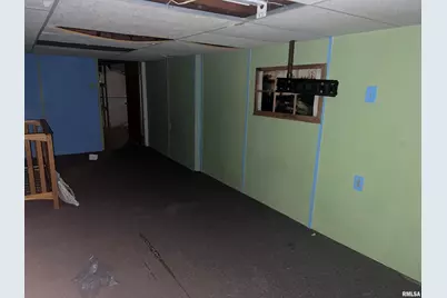 3638 84, Thomson, IL 61285 - Photo 39