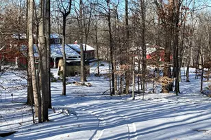 25065 Rock Springs Hollow Rd, Thebes, IL 62990 - Photo 45