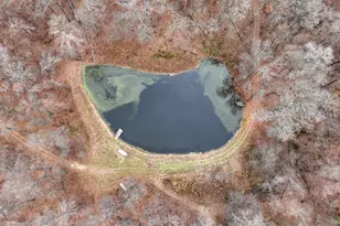 25065 Rock Springs Hollow Rd, Thebes, IL 62990 - Photo 43